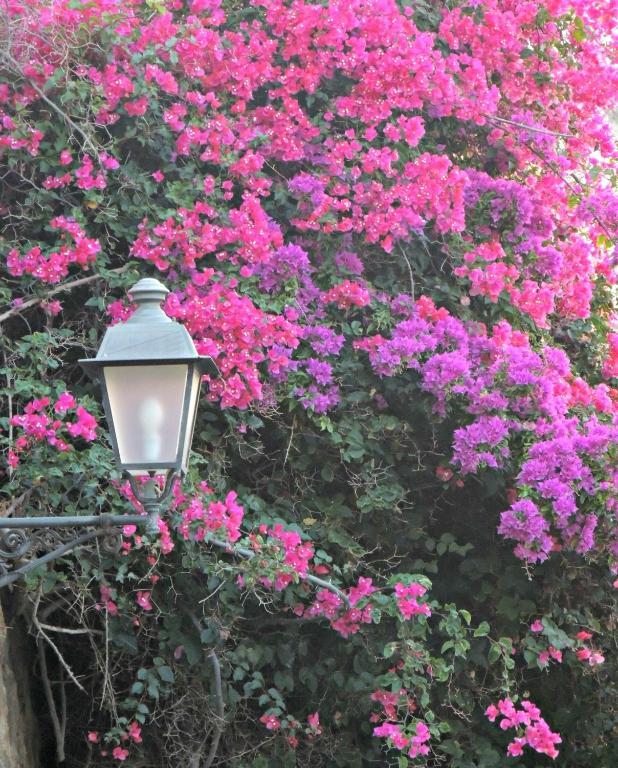 B&B La Veduta Scilla Εξωτερικό φωτογραφία